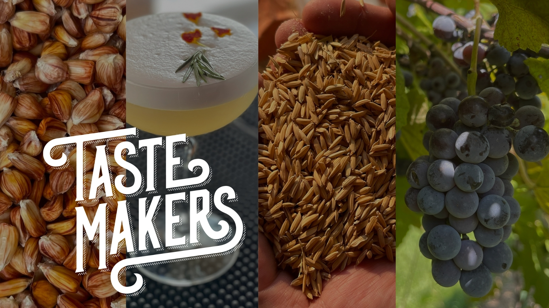 Download a zipped file of promotional materials in the Additional Assets section below.